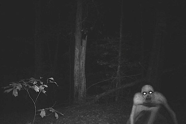 Тот самый скрин видеозаписи, о котором говорили в выпуске подкаста