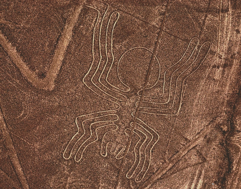 Рисунки на плато Наска называются геоглифами - это огромные изображения на земной поверхности.