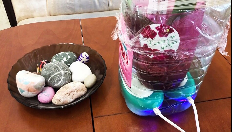 Делаем тепличку для орхидей без корней