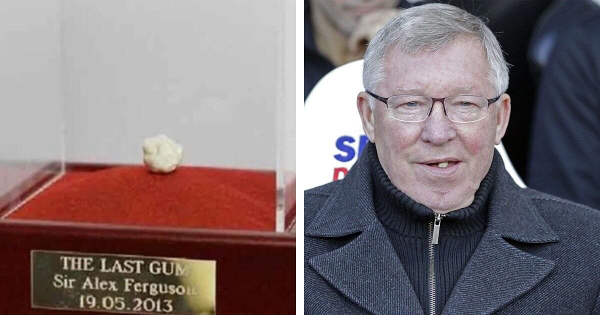 Последняя жевательная резинка сэра Алекса Фергюсона в качестве менеджера «Манчестер Юнайтед» оценена на eBay в 390 000 фунтов стерлингов. За эти деньги можно купить Lamborghini Aventador.