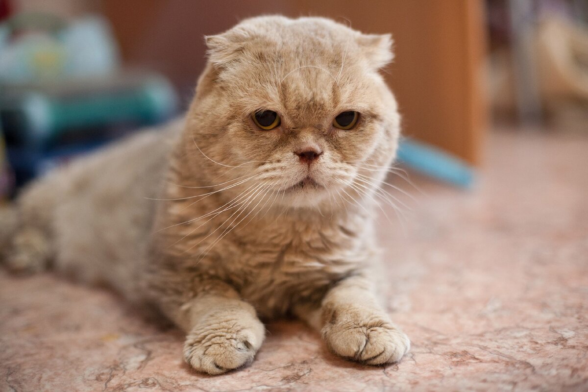 Фото сделано в январе 2020