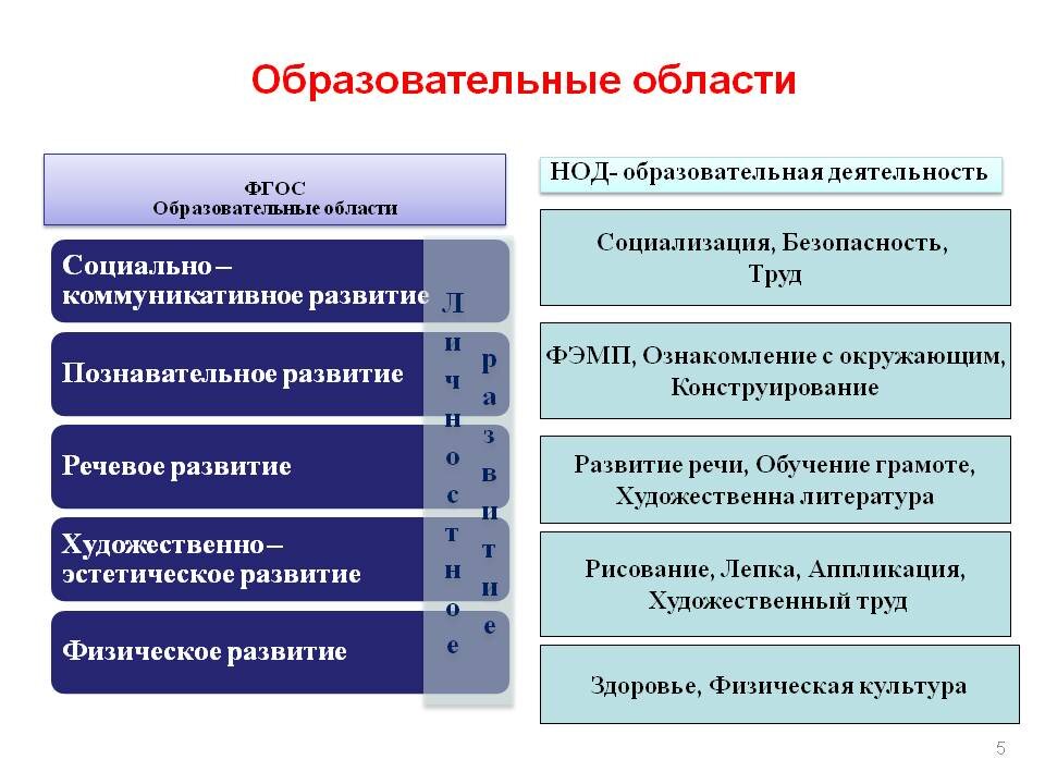 Направления образования перечислить