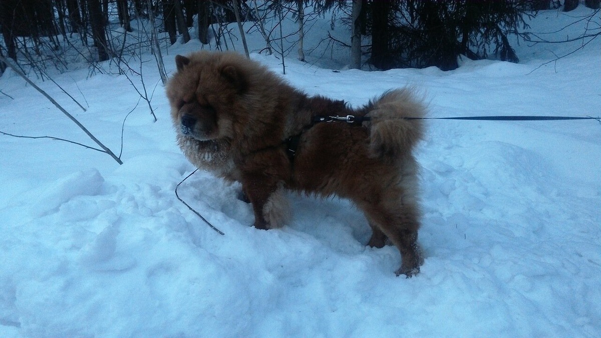 Где-то 20-е числа ноября 2019 года.