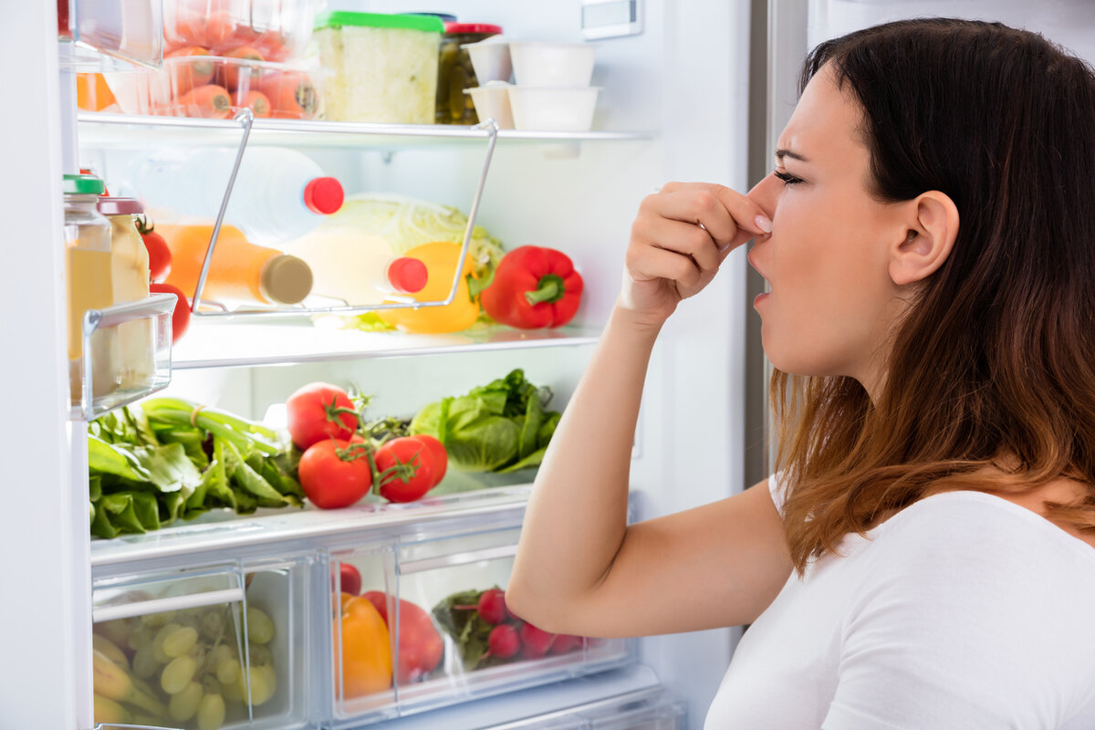 Как убрать запах из холодильника за 6 шагов - инструкция с фото и видео