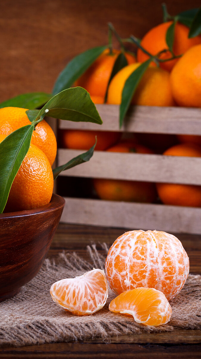 Фото взято из открытого источника