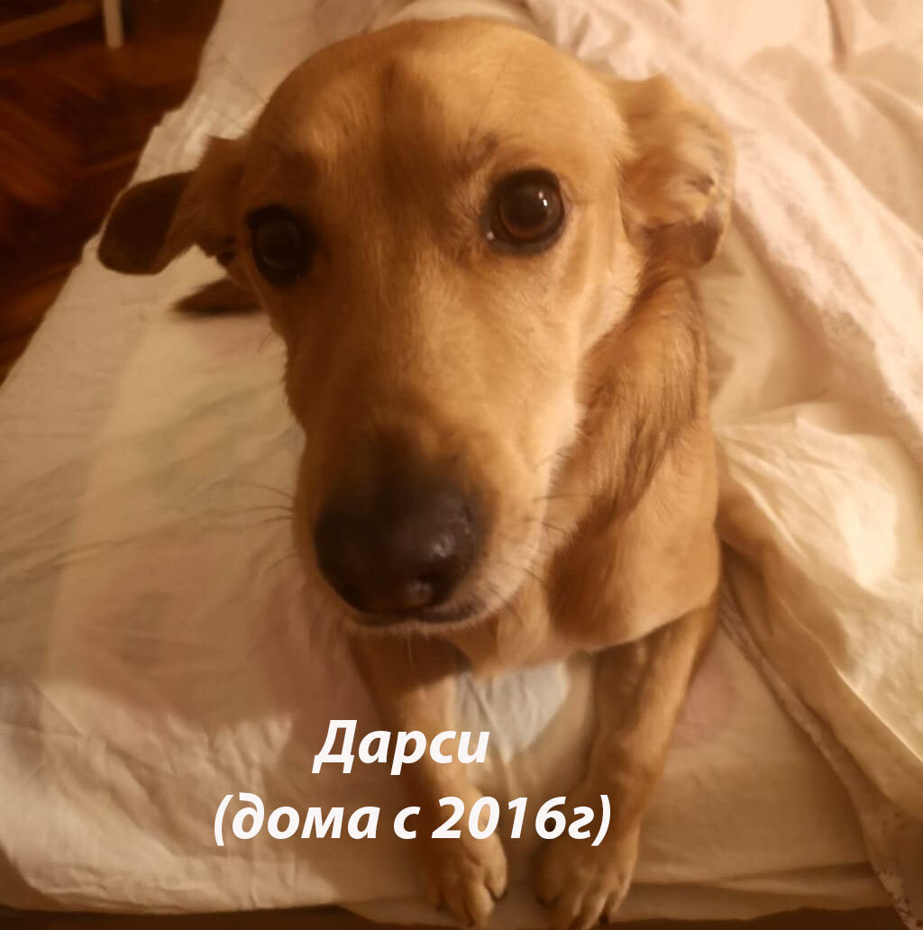 Листайте галерею