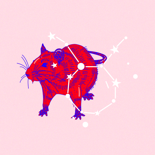 Изображение найдено в поисковой системе Яндекс