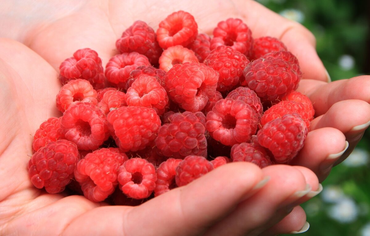 Фото из общедоступной сети Интернет