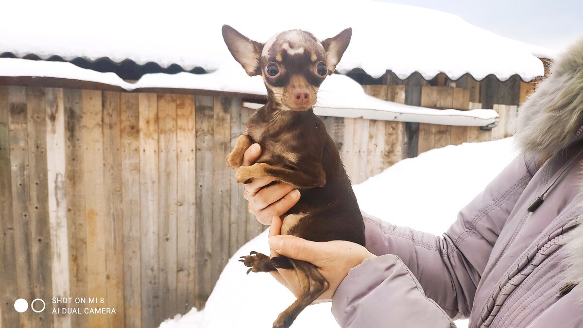 кто ты - неземное создание?