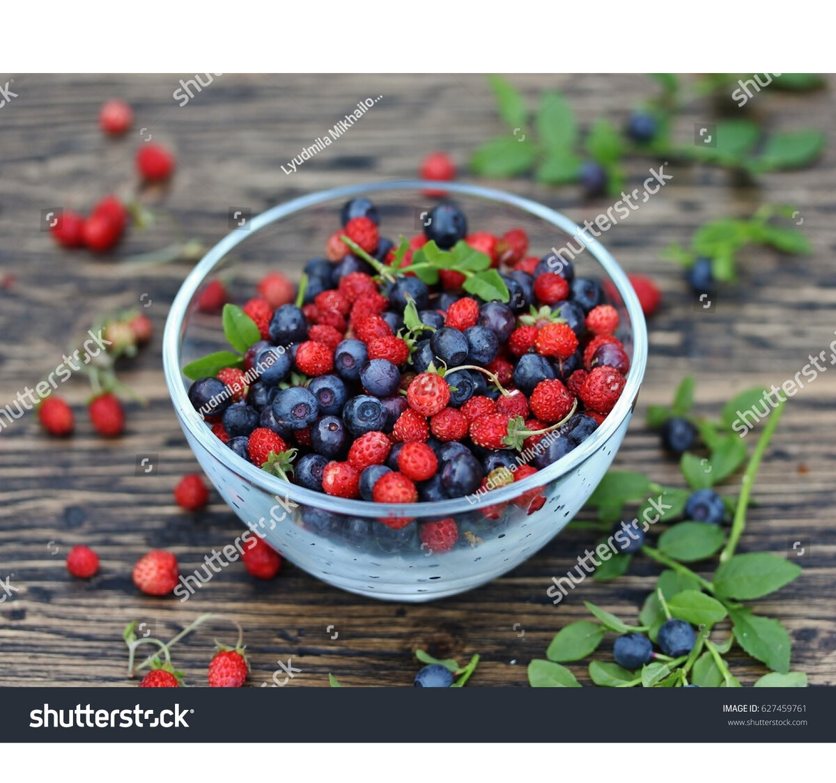 фото автора  стоковое фото в личном портфолио.