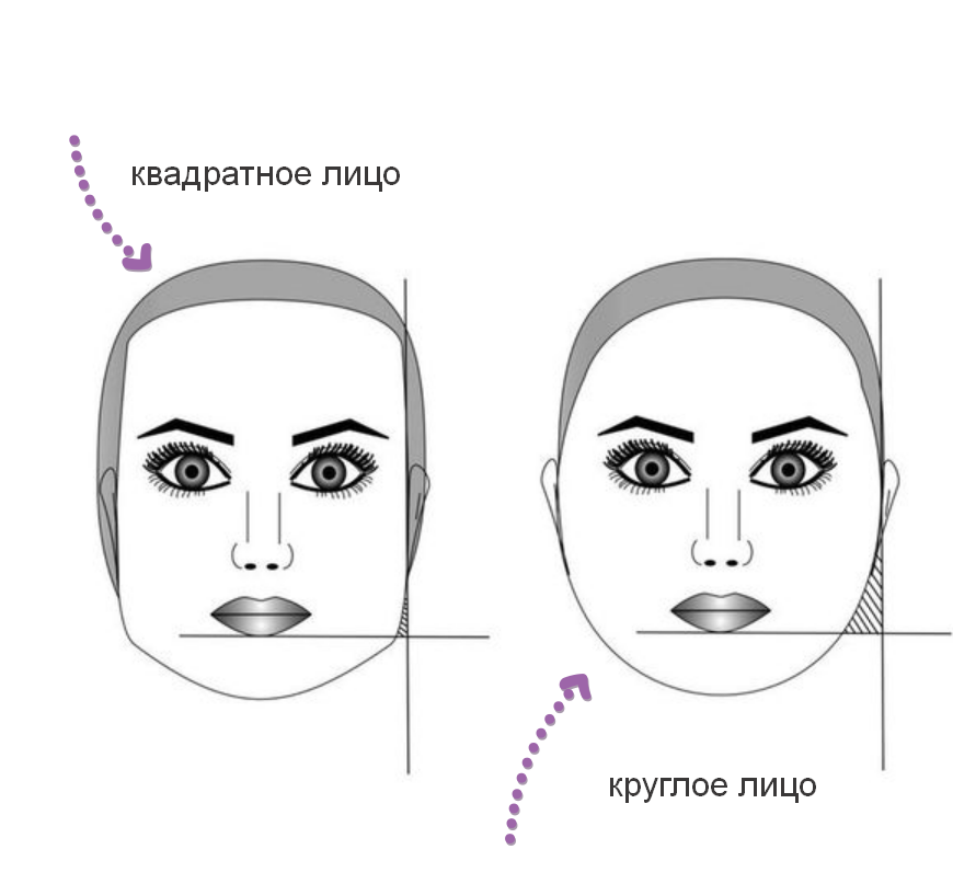 Схема круглого лица