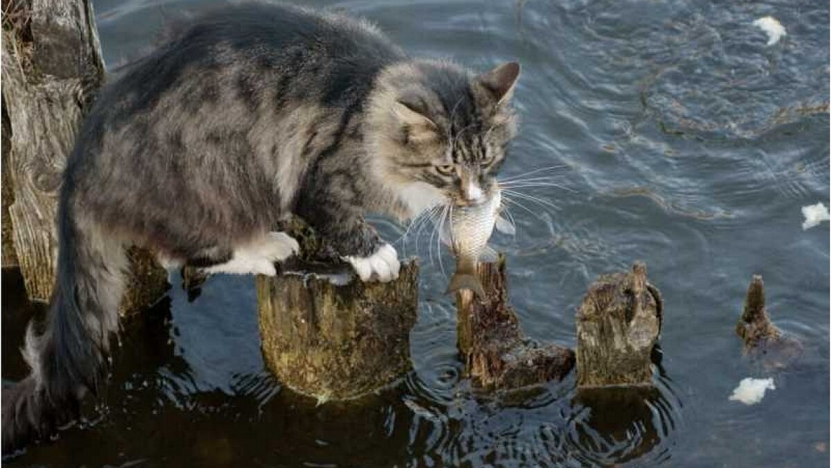 фото использовано в качестве иллюстрации. Источник "Яндекс.Картинки"