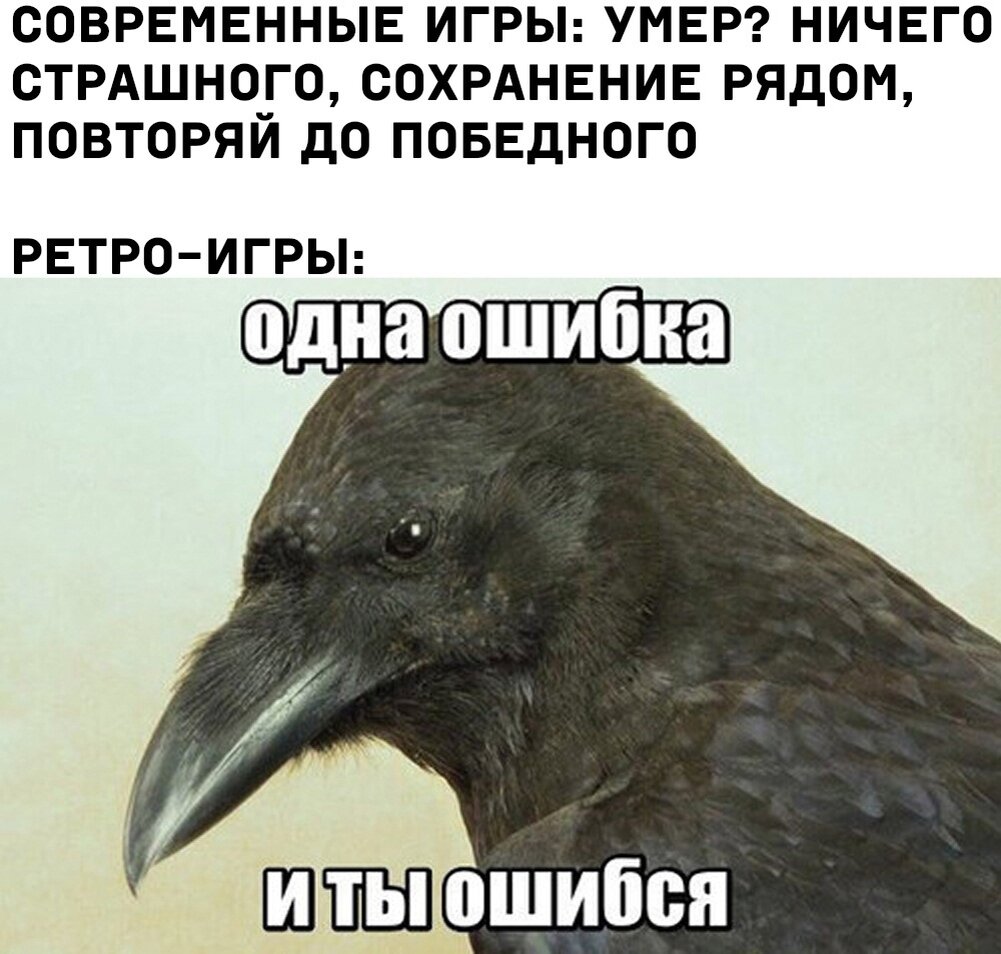 Одна ошибка. Одна ошибка и ты ошибся. Смешные вороны. Ворона Мем. Одна ошибка и ты ошибся Мем ворон.