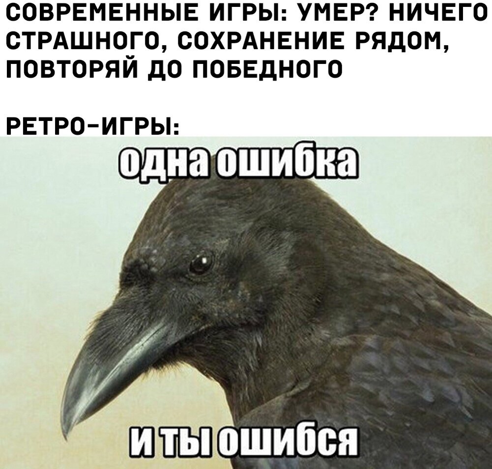 Ничего страшного что делаешь. Одна ошибка и ты ошибся. Смешные вороны. Ворона Мем. Одна ошибка и ты ошибся Мем ворон.