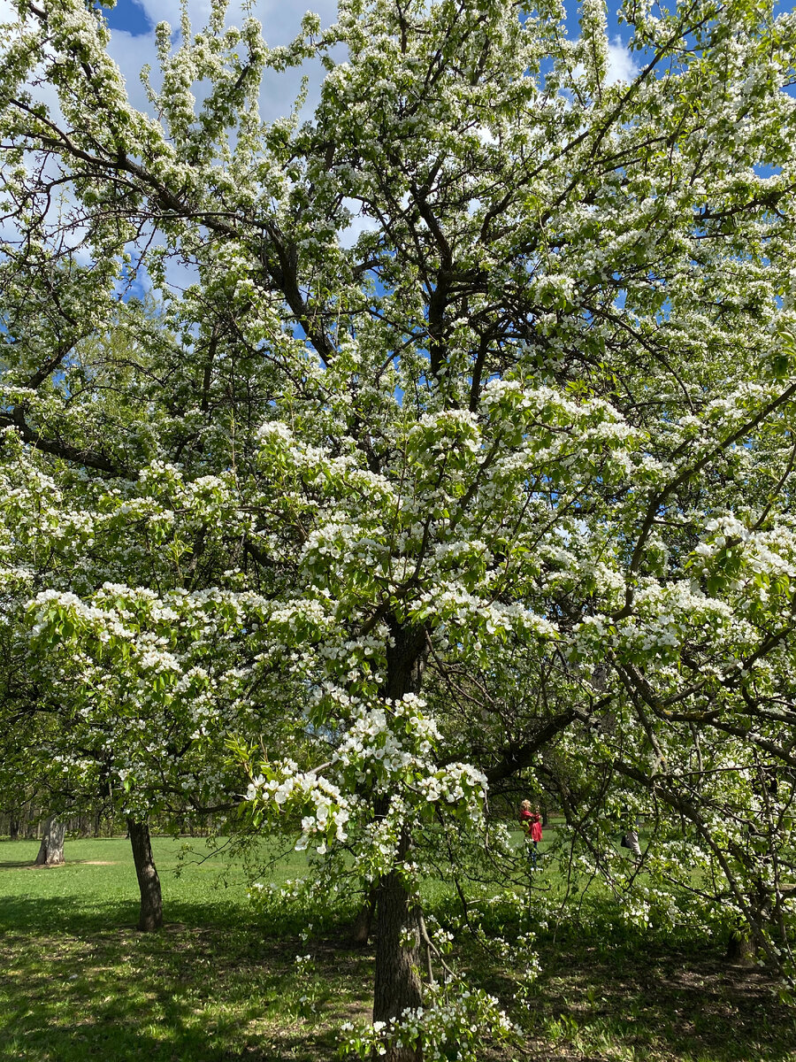 Фото автора.