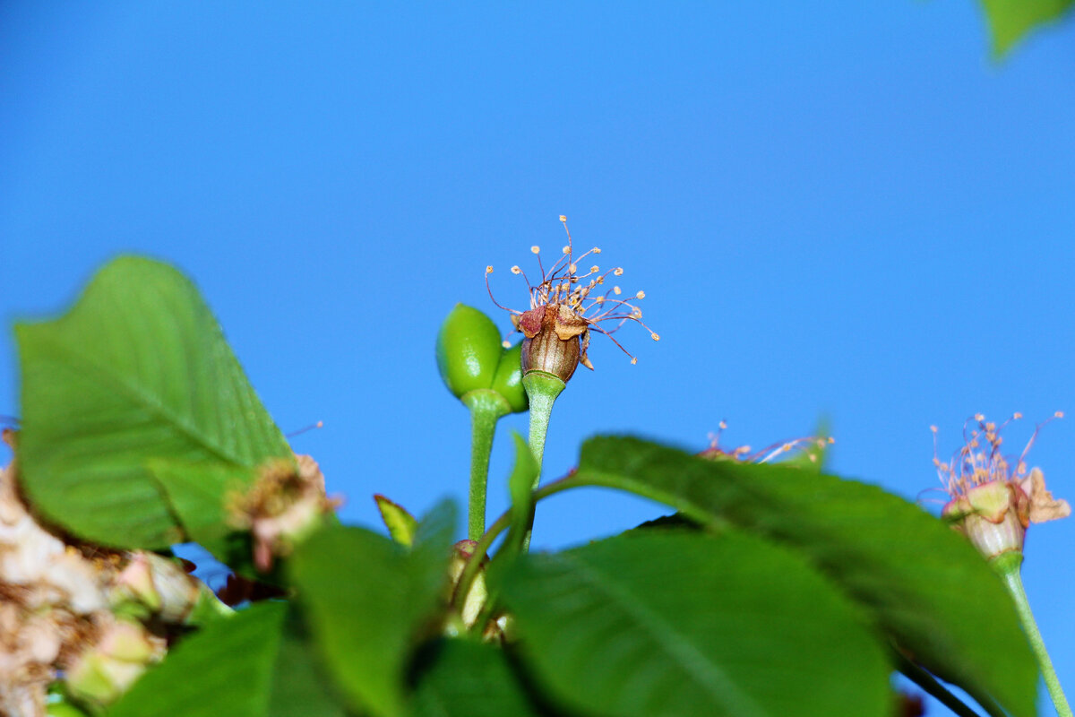 Листаем галерею.