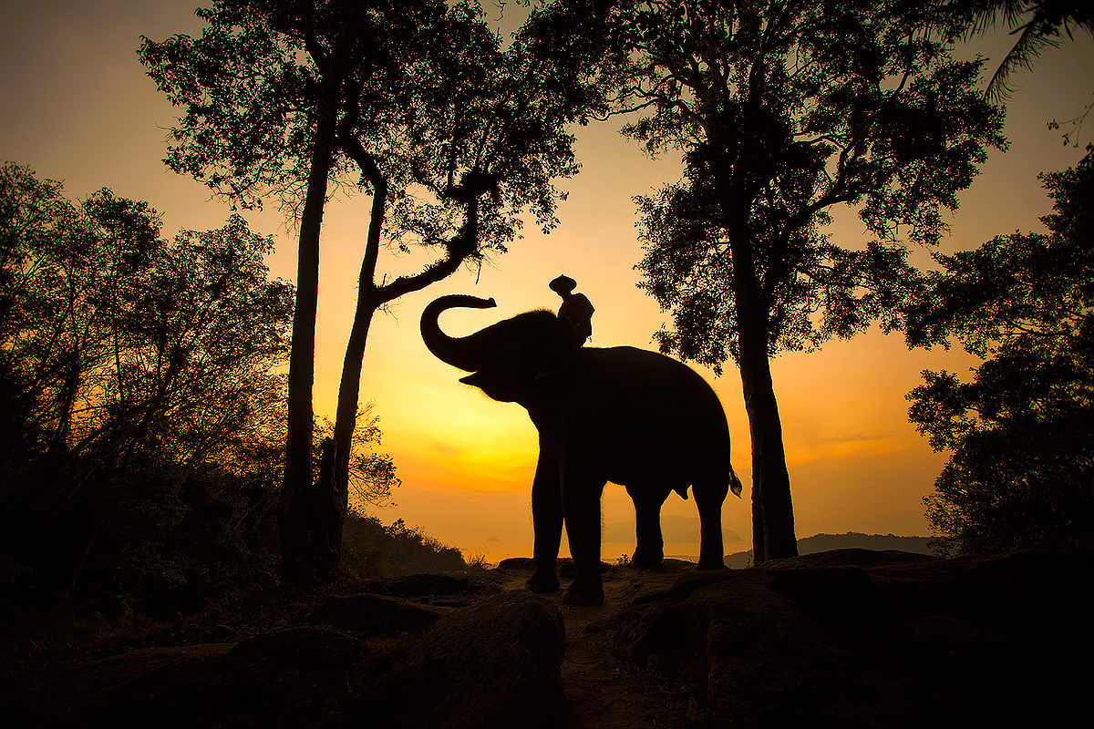 Источник: https://enjourney.ru/strany/laos/