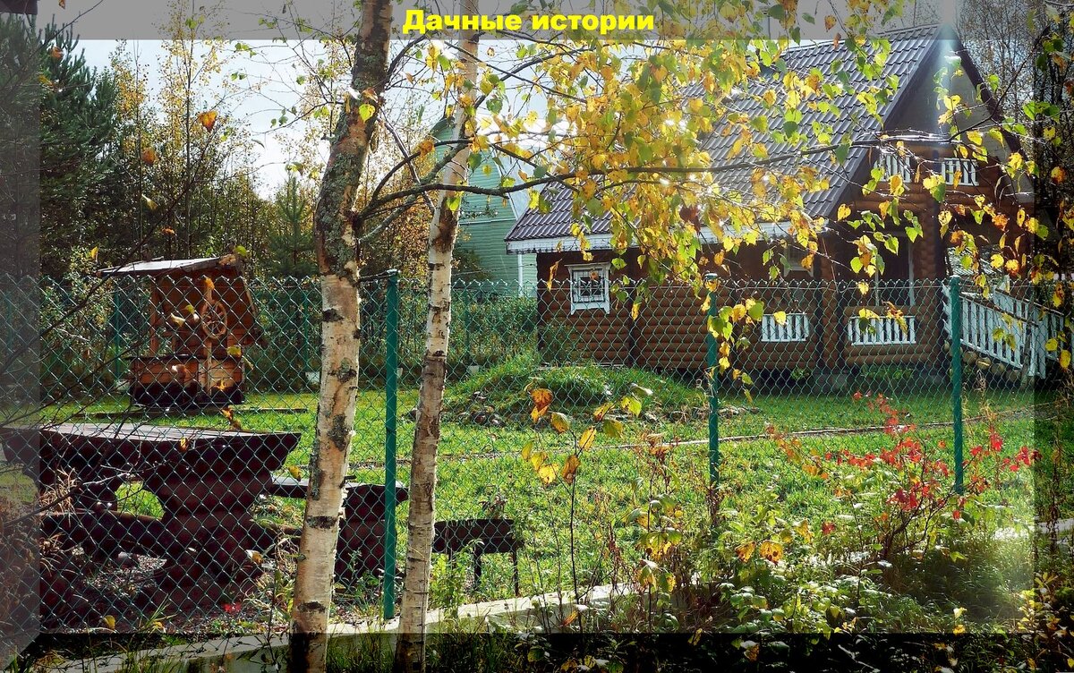 https://vk.com/photo-159774511_457249077