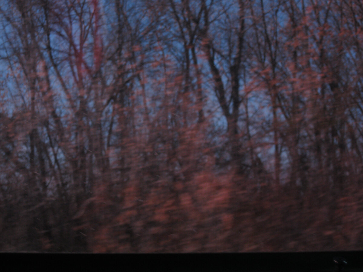 Осень из окна автомобиля.