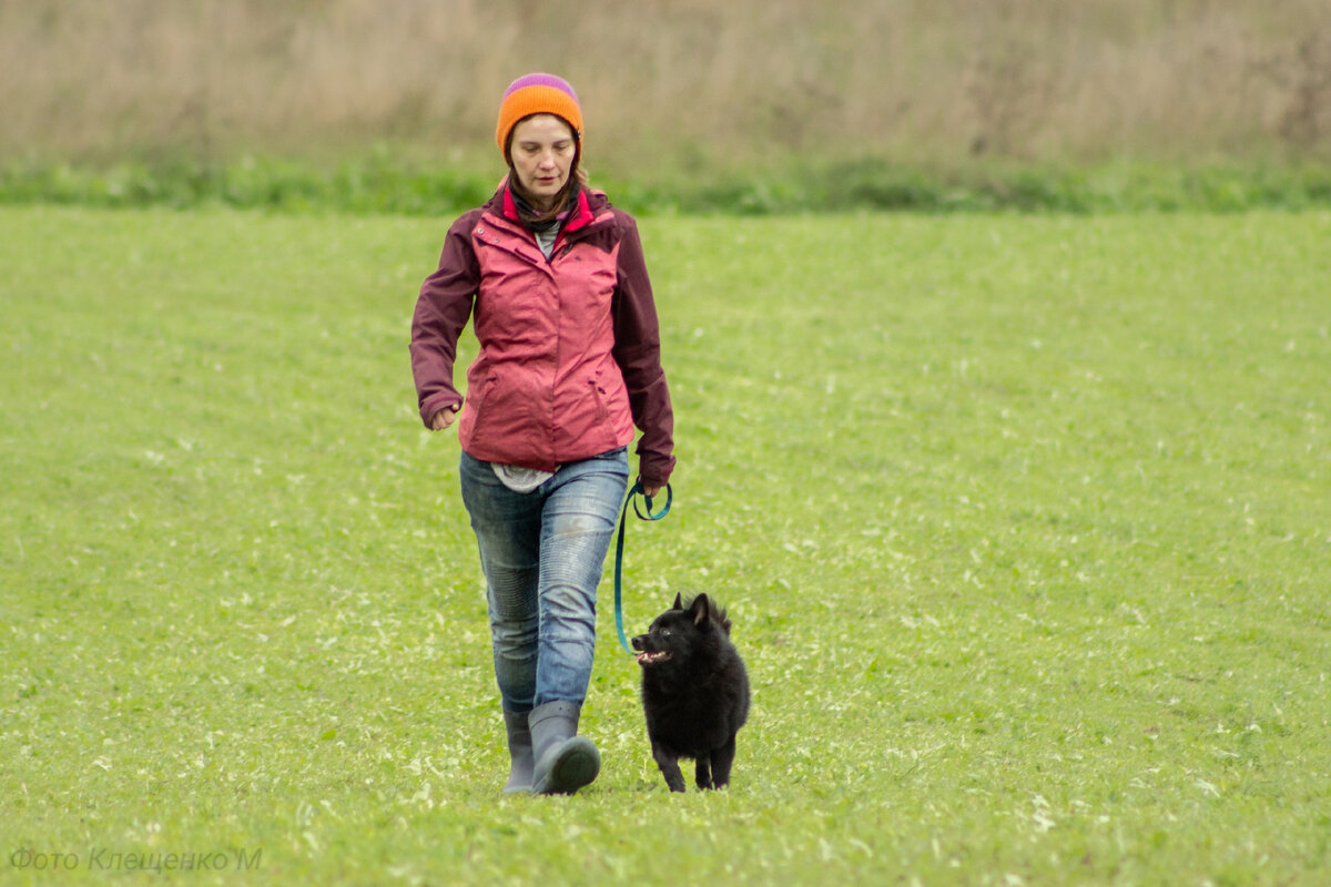 Теперь он официально послушный мальчик