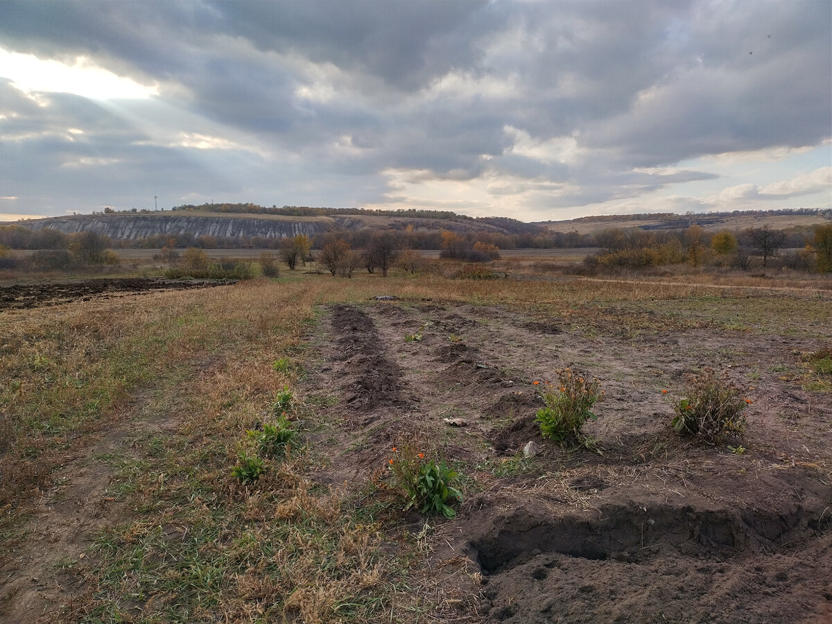 Все, огород готов к вспашке!