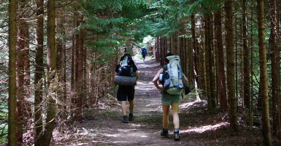 Ходите правильно! Что важно знать для максимальной пользы от пеших прогулок? 