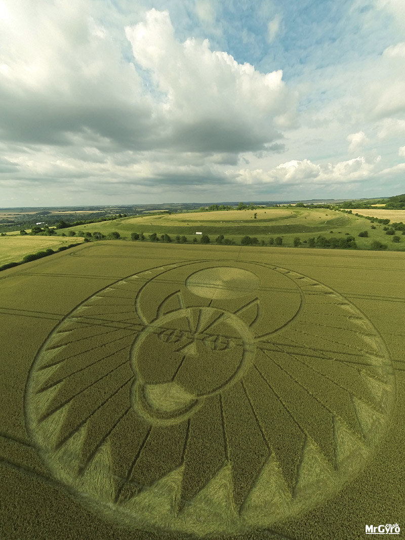 Уилтшир,,круги на полях. Странные круги на полях в Англии. Рисунки на полях в Англии 2001. Знаки на полях НЛО.