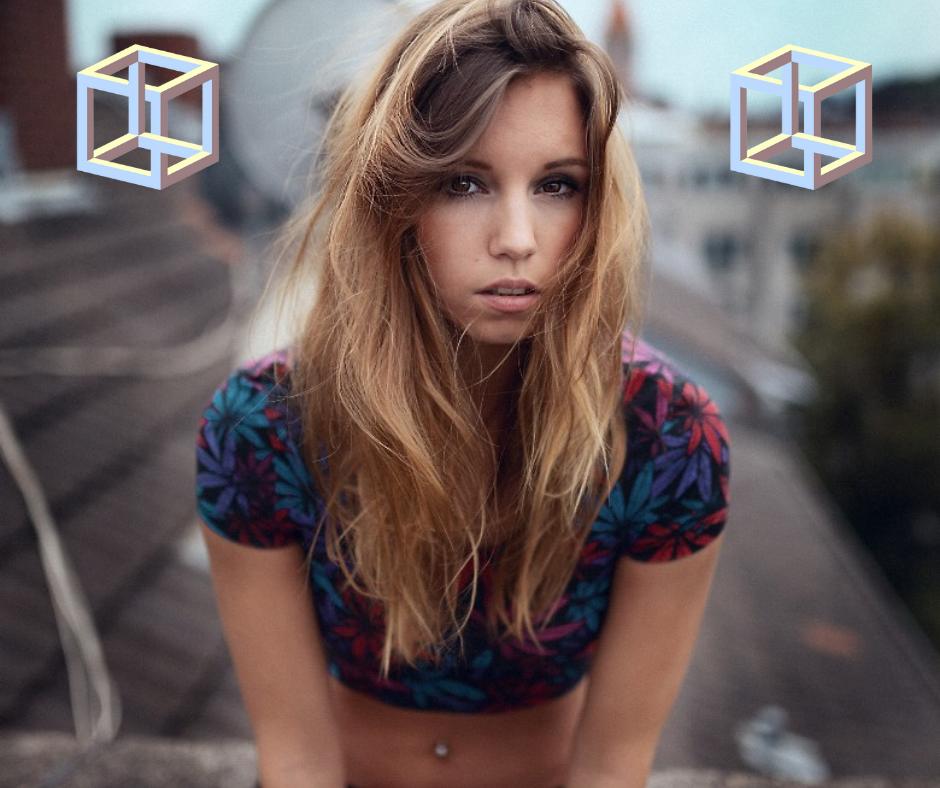 Иллюстрации к тесту созданы автором, источник изображений pixabay.com