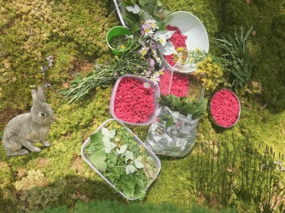 На необитаемом острове изобилие ягод и грибов. Гиф - О. Яцкевич.