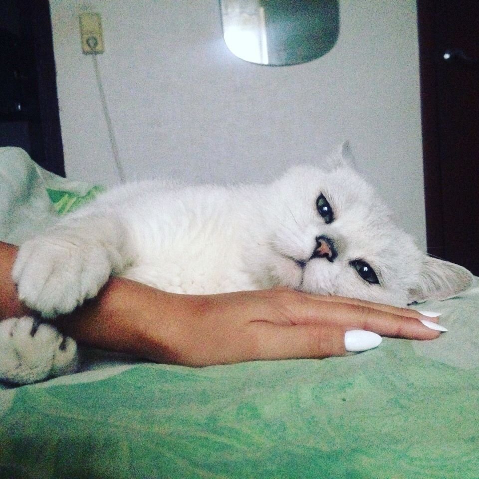 А говорят, что скучать не умею (