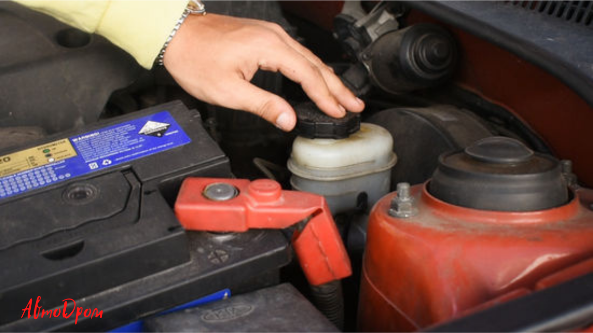 Источник: google-pictures.com