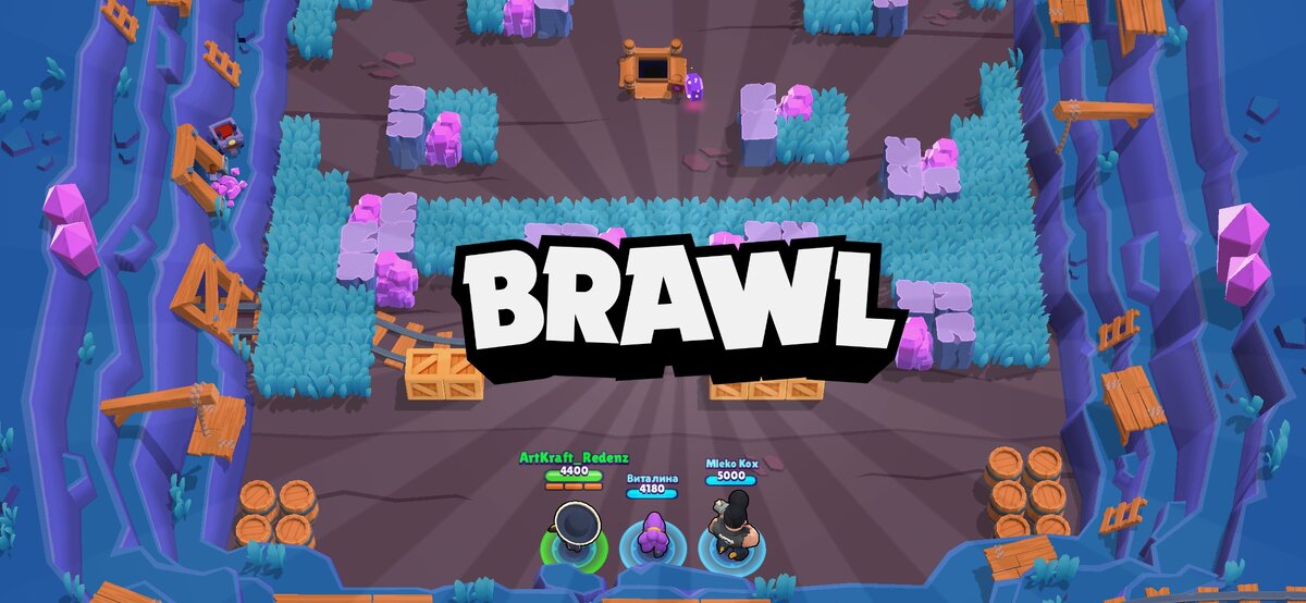 BRAWL (Взято из личной коллекции)
