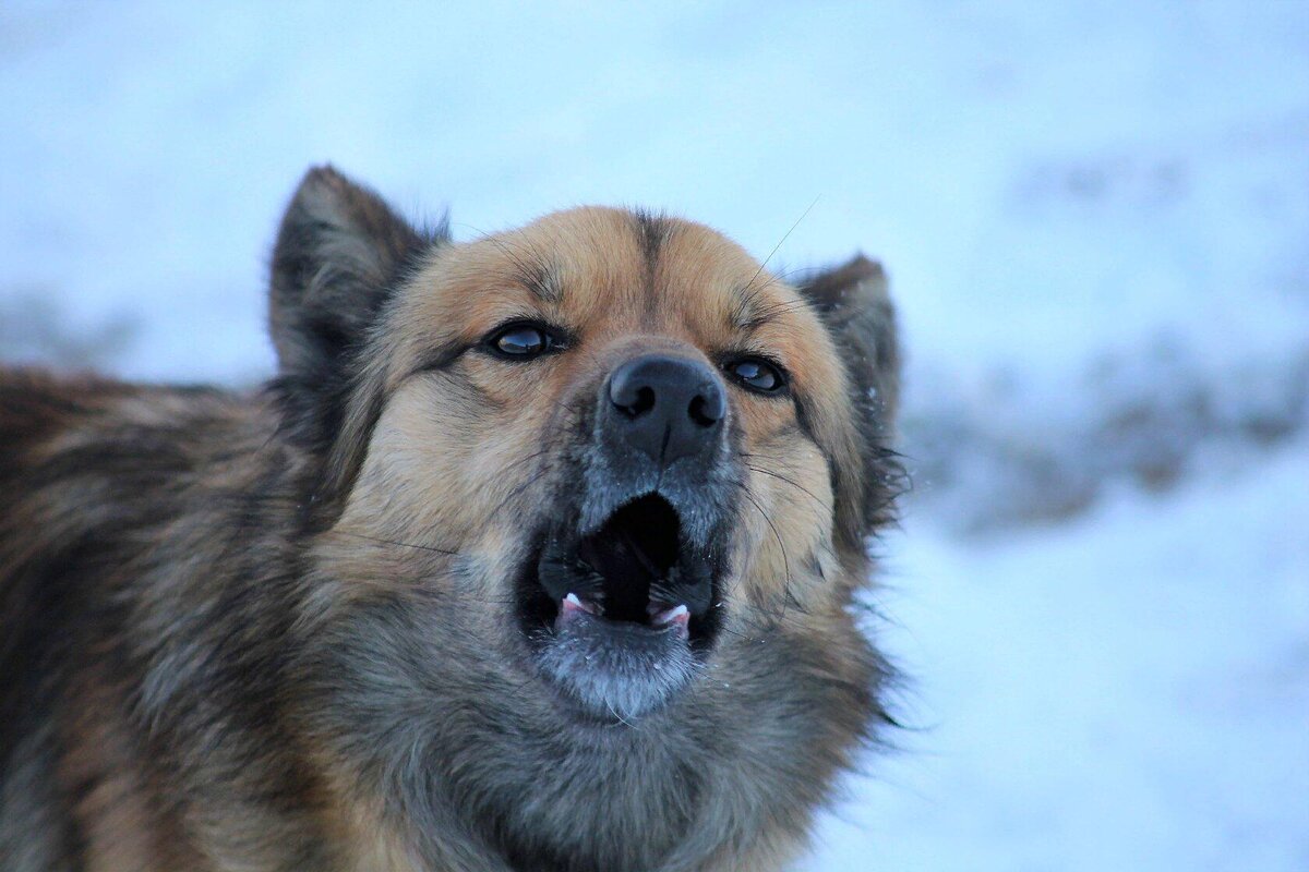 Фото Валерия Скворцова