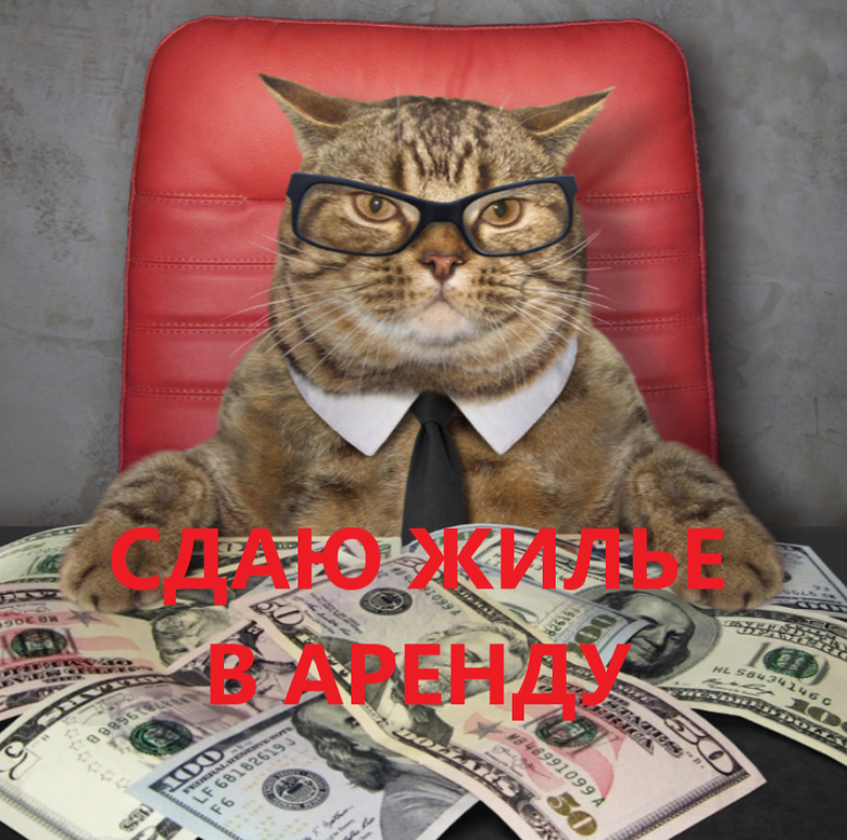 АРЕНДА ЖИЛЬЯ: как законно получать оплату и какие налоги платить?