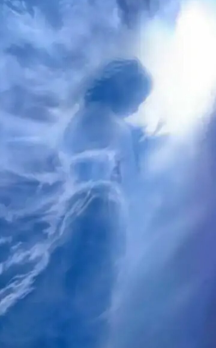 Фото из интернета 