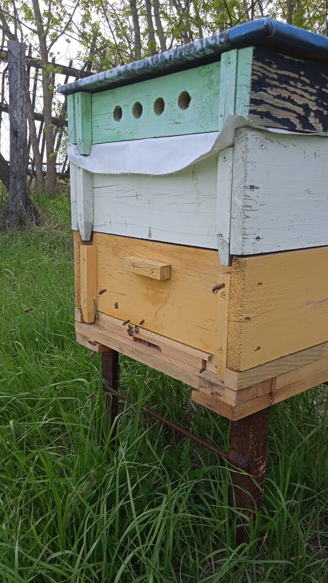 Не забываем сократить леток. Весной важно сохранить как можно больше тепла в улье.