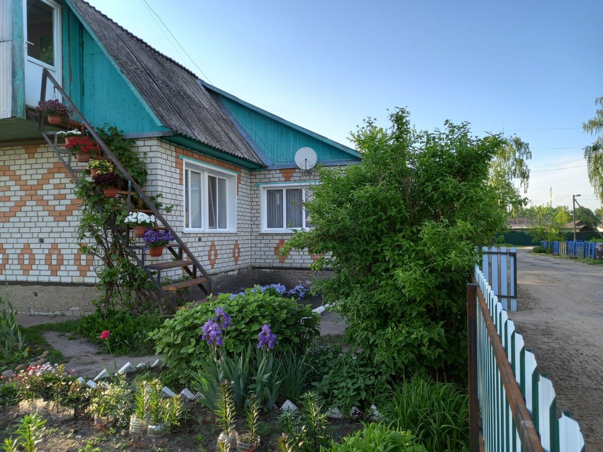 Фото автора. Лилии ограждала  от своих игривых котов разрезанными бутылками.