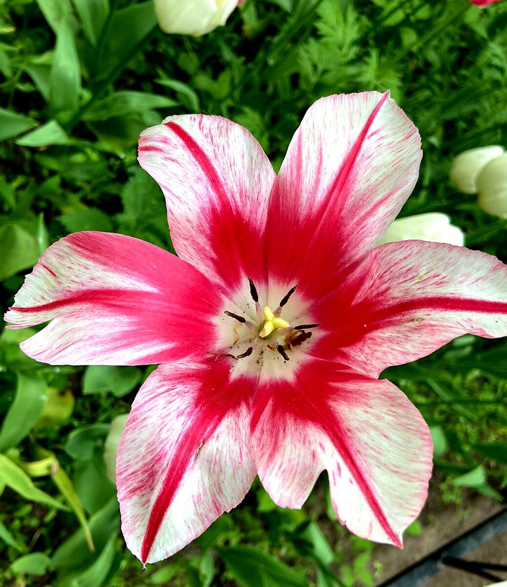 Фото для настроения