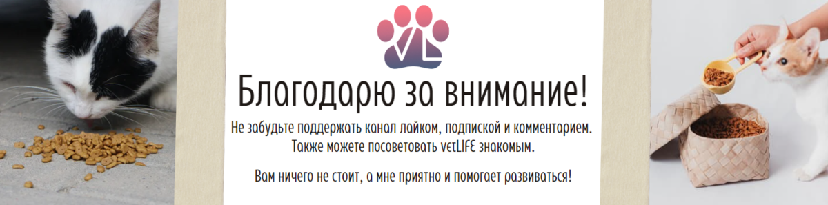 Неужели хороший русский корм? А, показалось / ветеринарный анализ корма ...