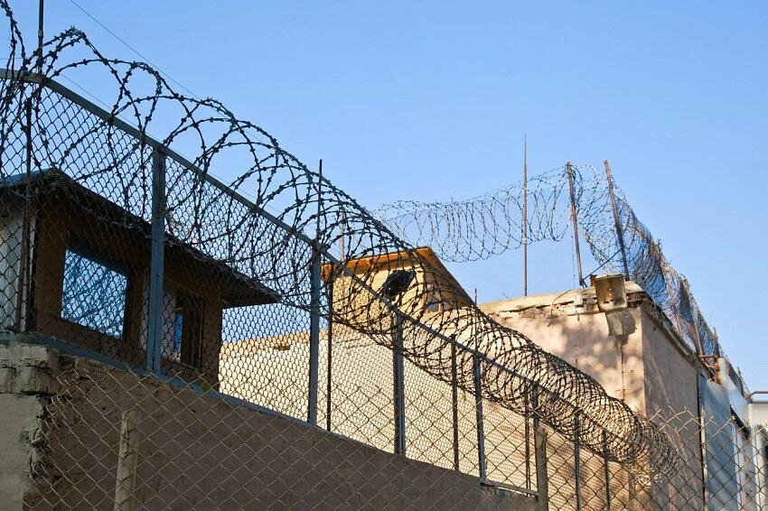 Фото: © Shutterstock/Fotodom