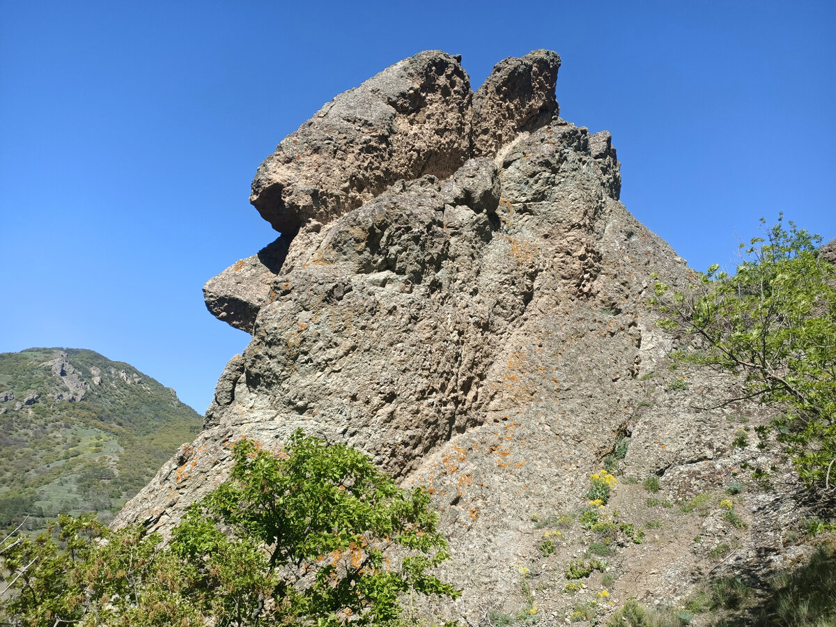 Карадаг Алушта Крым