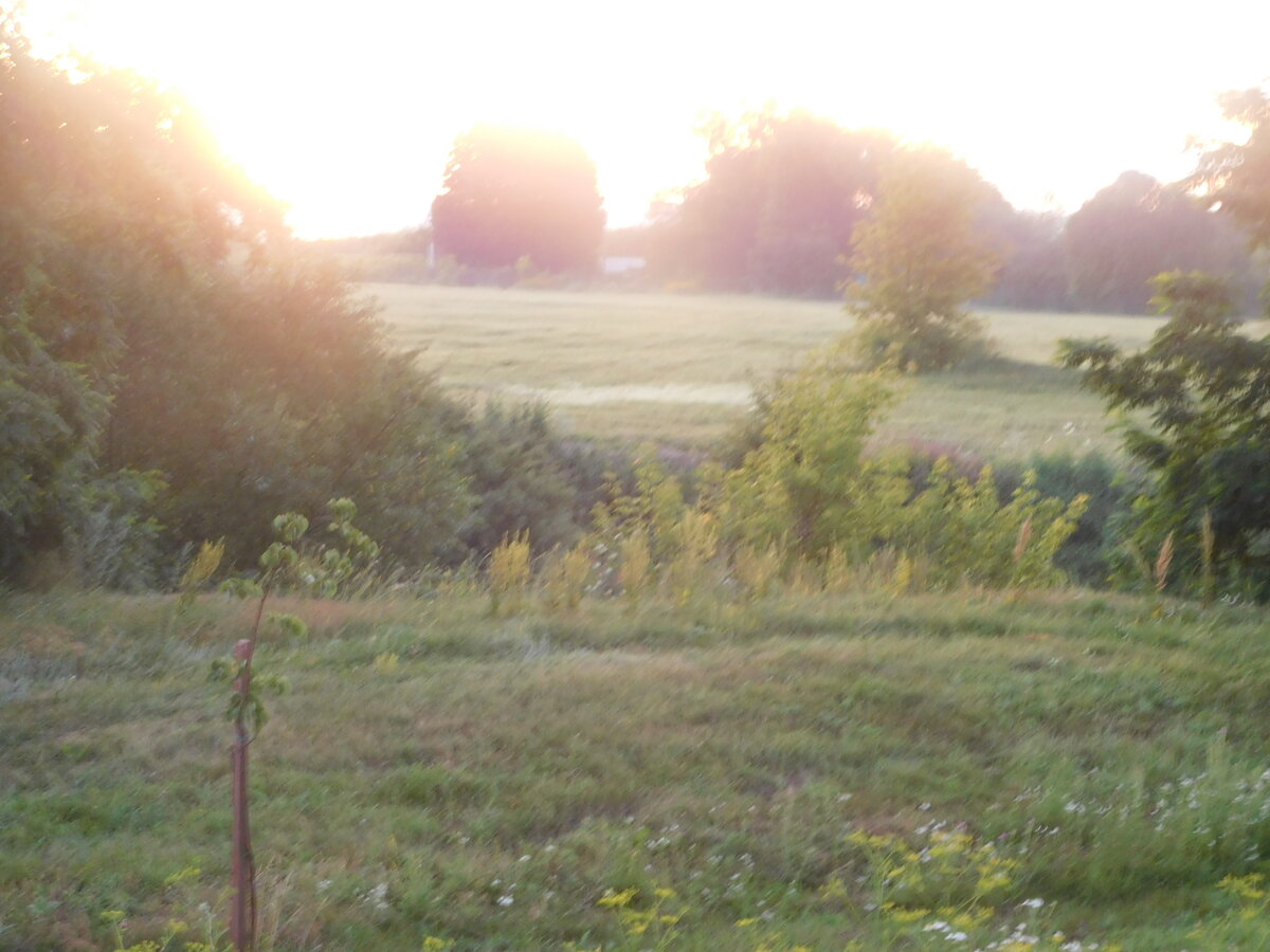 Фото автора канала