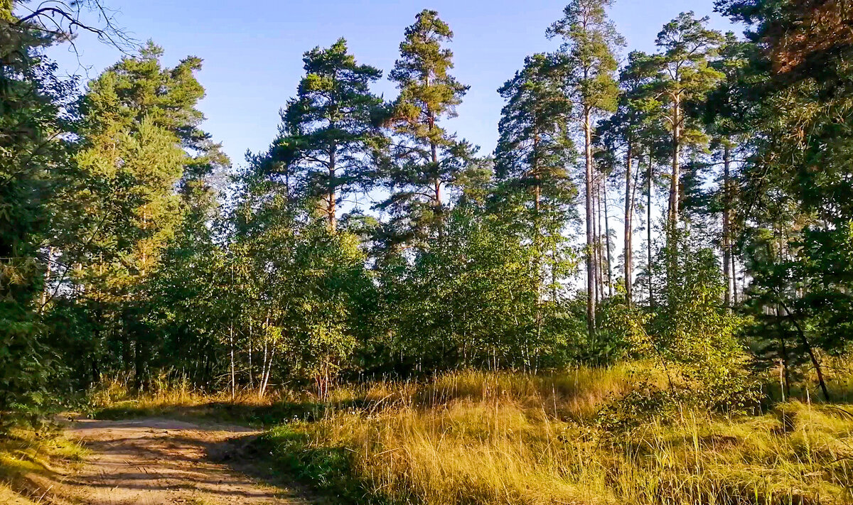 Фотография автора статьи.