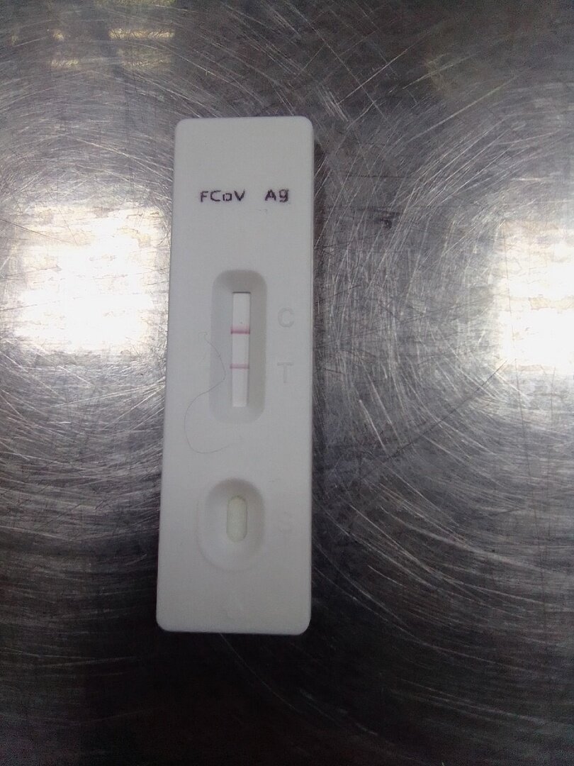 Положительный тест на короновирусную инфекцию