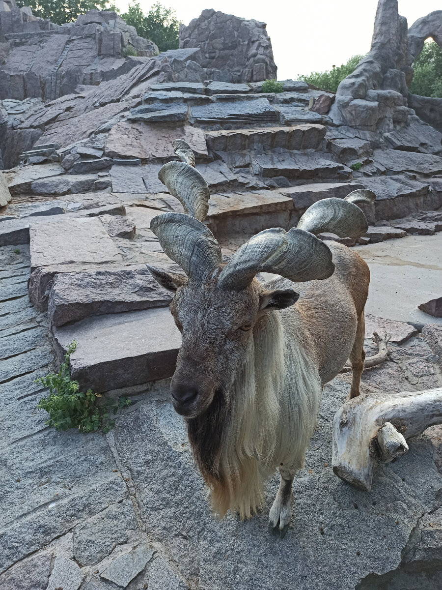 Красавец тур