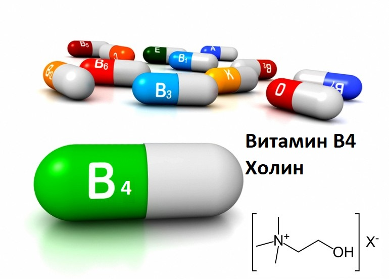 Витамин в4 холин. Витамин b4 Холин. Витамин б4 Холин лекарство. В4 Холин. Витамин b4 формула
