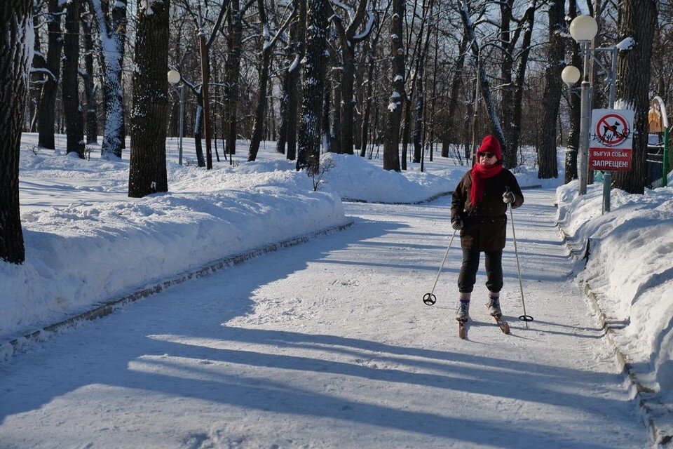     Оздоровительные прогулки в парке и спортивные состязания - не одно и то же Светлана МАКОВЕЕВА