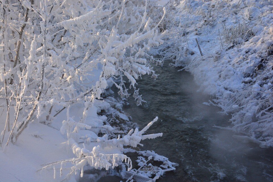     В области ожидается мороз. Андрей КОПАЛОВ, Архив «КП»