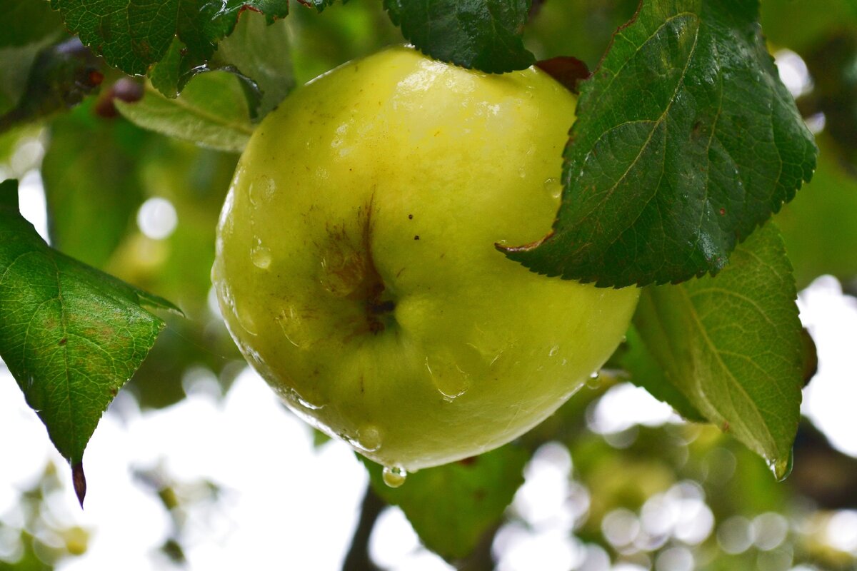 Фото для иллюстрации (Яндекс.Картинки)