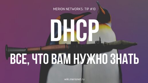 Все, что вам нужно знать про DHCP